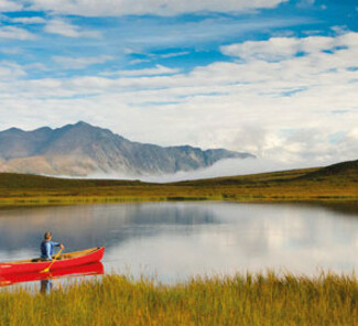 Denali Nationalpark Alaska