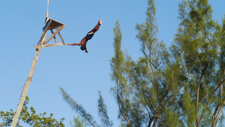 Jamaika Reisebericht - Springkunst in Negril