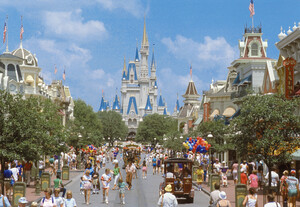  © Disneyland in Orlando
