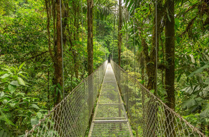 Hängebrücke im Monteverde Nationalpark