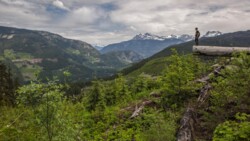 Kanadische Rocky Mountains in Alberta