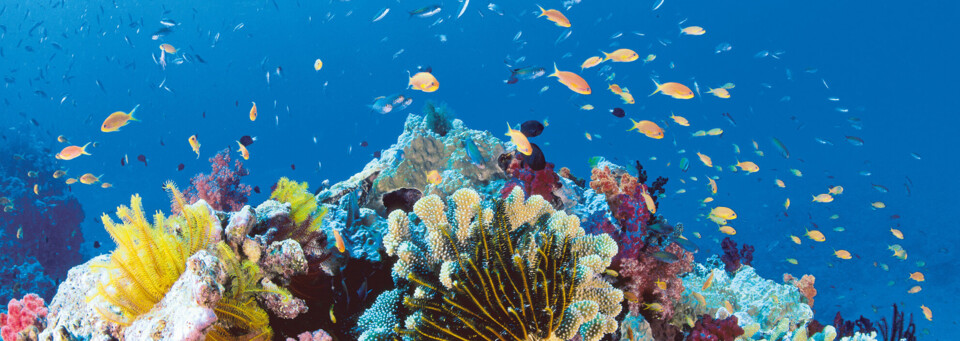 Great Barrier Reef