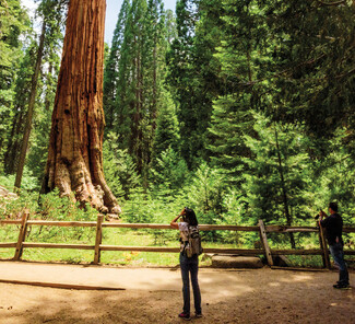 © Visit California/Myles McGuinness