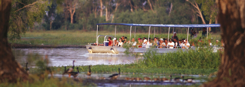Bootsfahrt auf dem Yellow Water Billabong