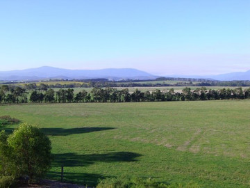 Australien Reisebericht: Weinanbaugebiet Yarra Valley