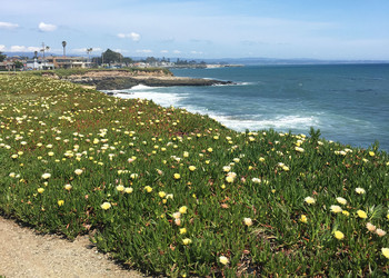 Reisebericht Kalifornien - Santa Cruz