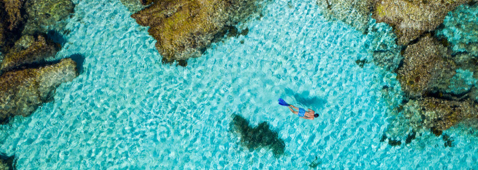 Schnorcheln auf Rottnest Island